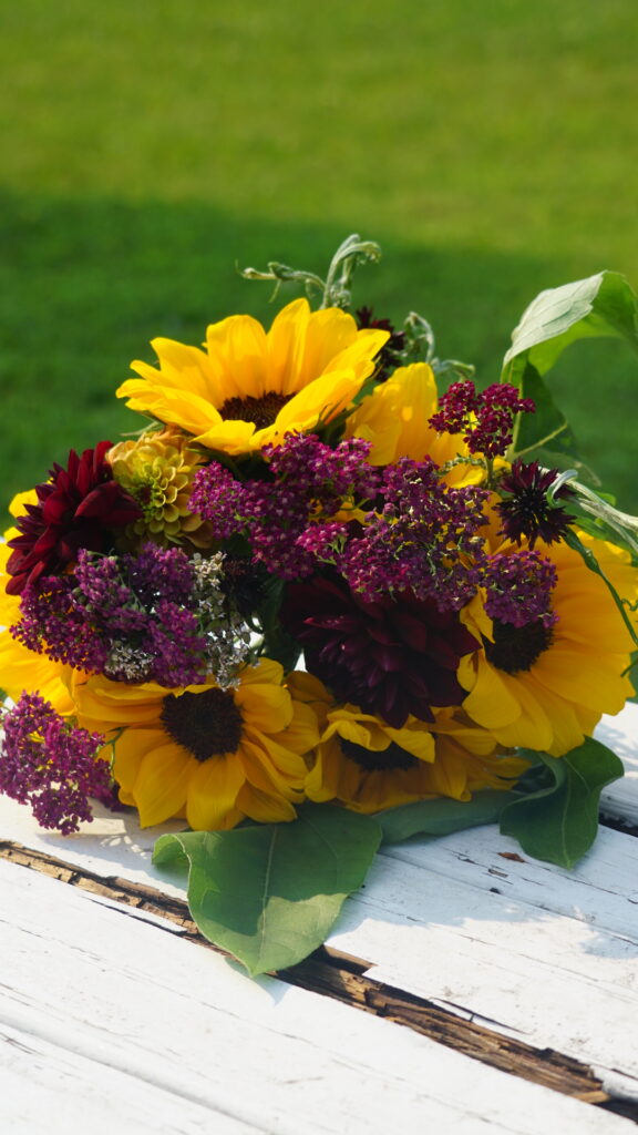 orange sunflowers with deep red yarrow in a bouquet